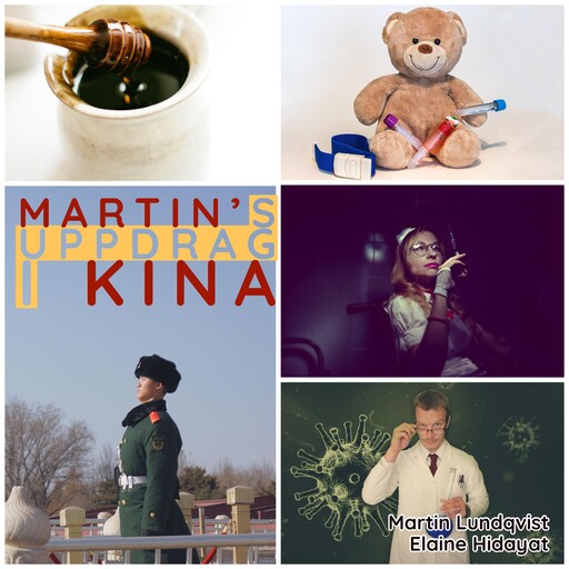 Martins uppdrag i Kina, Martin Lundqvist