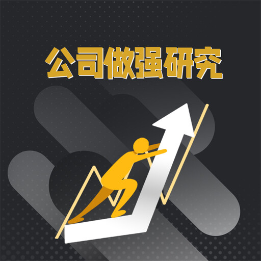 公司做强研究, 张俊杰