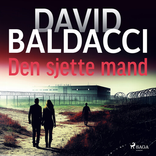 Den sjette mand, David Baldacci