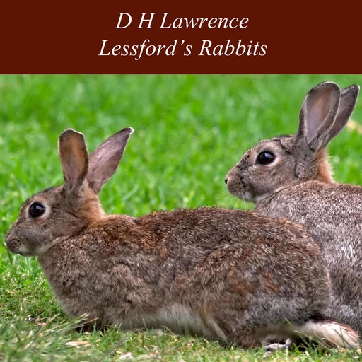 Lessford's Rabbits, David Herbert Lawrence