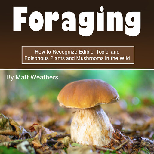 Foraging, Matt Weathers