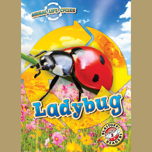 Animal Life Cycles: Ladybug, Elizabeth Neuenfeldt
