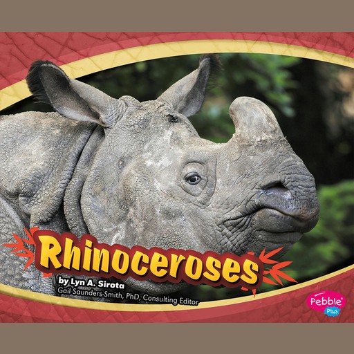Rhinoceroses, Joanne Mattern