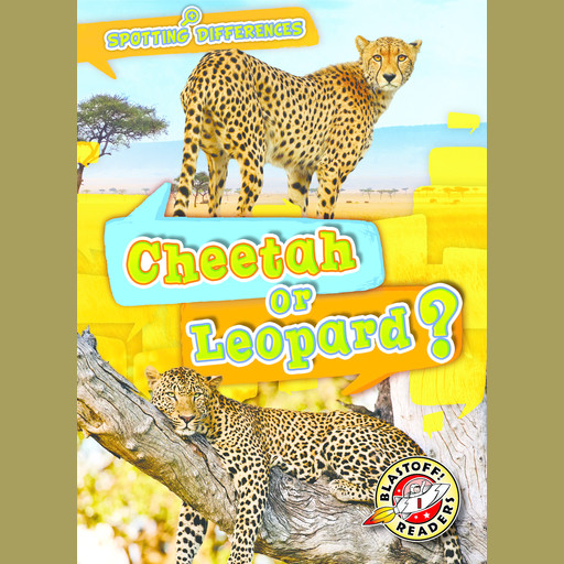 Cheetah or Leopard?, Kirsten Chang