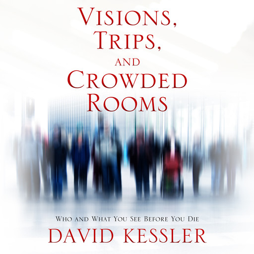 Visions, Trips, and Crowded Rooms, David Kessler