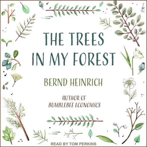 The Trees in My Forest, Bernd Heinrich