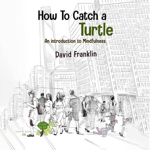 How to Catch a Turtle, David Franklin