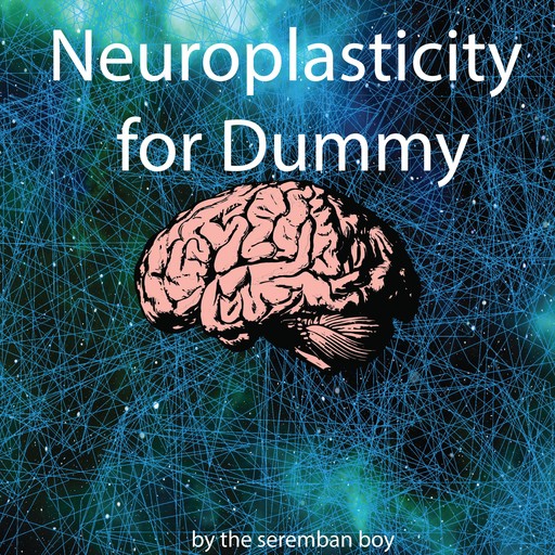 Neuroplasticity for Dummy, The Seremban Boy