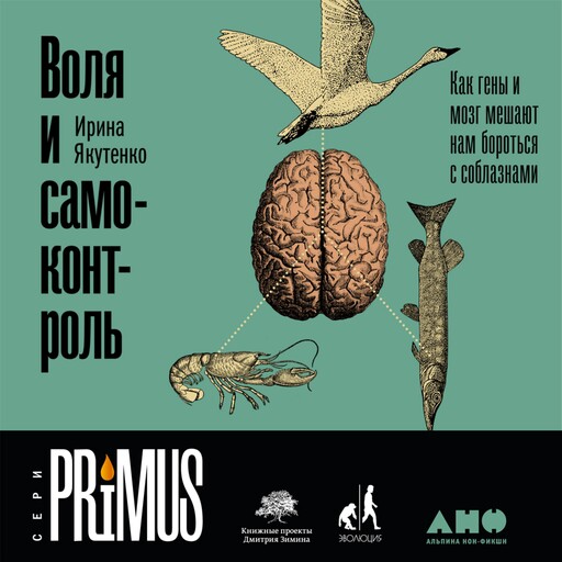 Воля и самоконтроль: Как гены и мозг мешают нам бороться с соблазнами, Ирина Якутенко