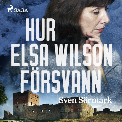 Hur Elsa Wilson försvann, Sven Sörmark