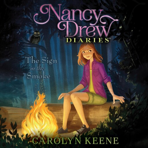 The Sign in the Smoke, Carolyn Keene