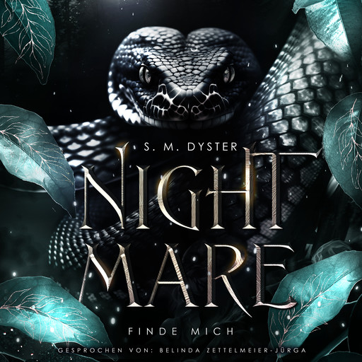 Nightmare, S.M. Dyster