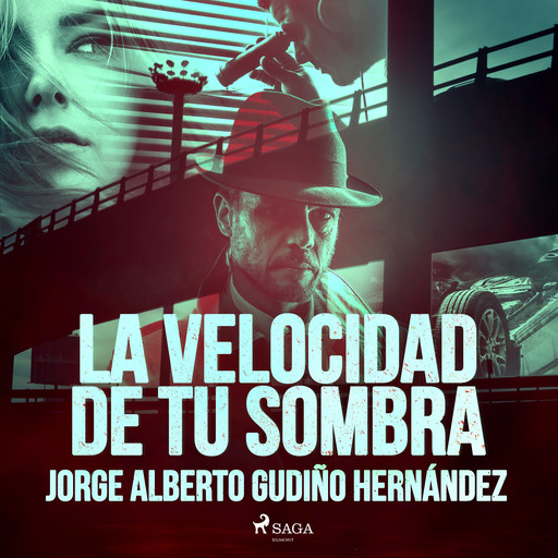 La velocidad de tu sombra, Jorge Alberto Gudiño Hernández