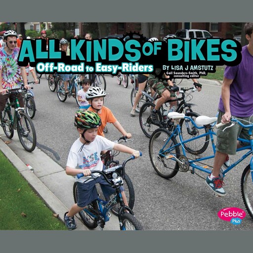 All Kinds of Bikes, Lisa Amstutz
