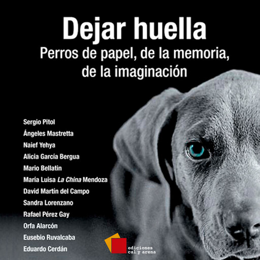Dejar huella, Anamari Gomís