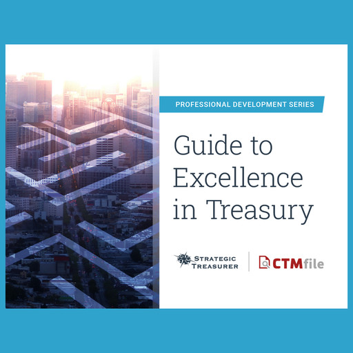 Guide to Excellence in Treasury, Strategic Treasurer