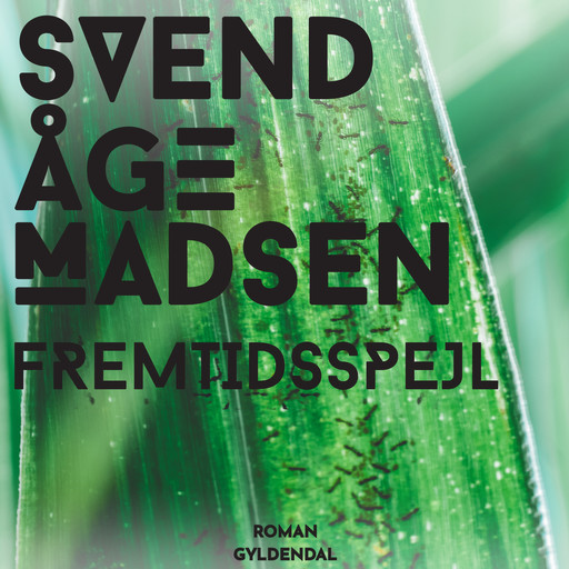 Fremtidsspejl, Svend Åge Madsen