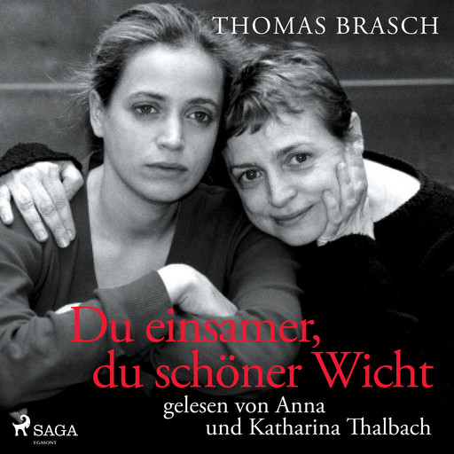 Du einsamer, du schöner Wicht, Thomas Brasch