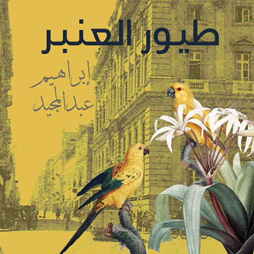 طيور العنبر, إبراهيم عبدالمجيد