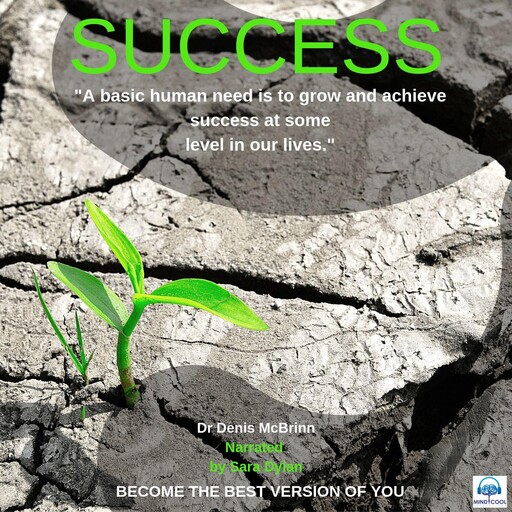 Success, Denis McBrinn