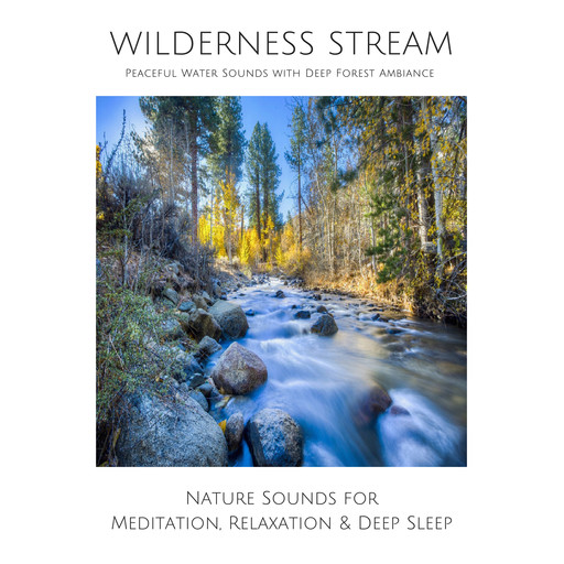 Wilderness Stream: Peaceful water sounds with deep forest ambience, Joe Hayworth