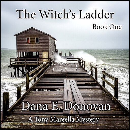The Witch's Ladder, Dana E. Donovan