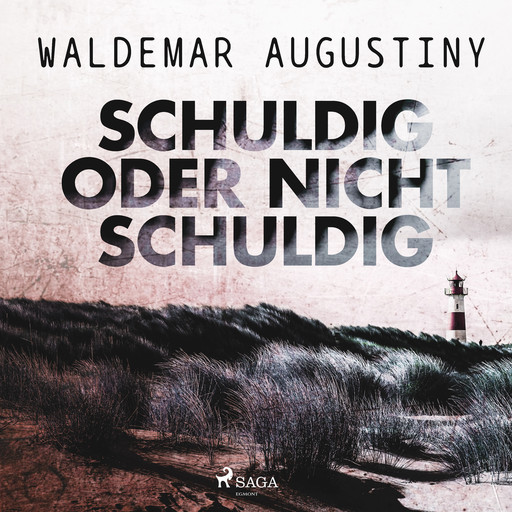 Schuldig oder nicht schuldig, Waldemar Augustiny