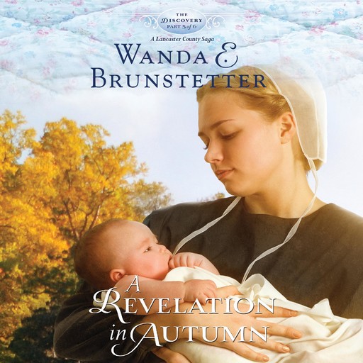 A Revelation in Autumn, Wanda E Brunstetter