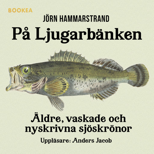 På ljugarbänken, Jörn Hammarstrand