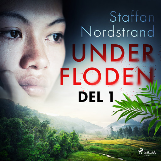 Under floden - del 1, Staffan Nordstrand
