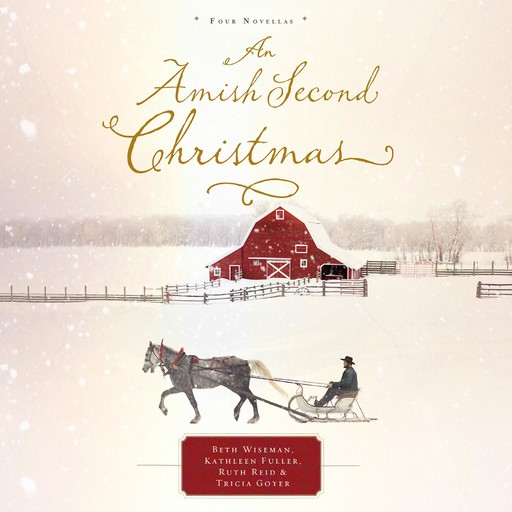 An Amish Second Christmas, Tricia Goyer, Beth Wiseman, Kathleen Fuller, Ruth Reid