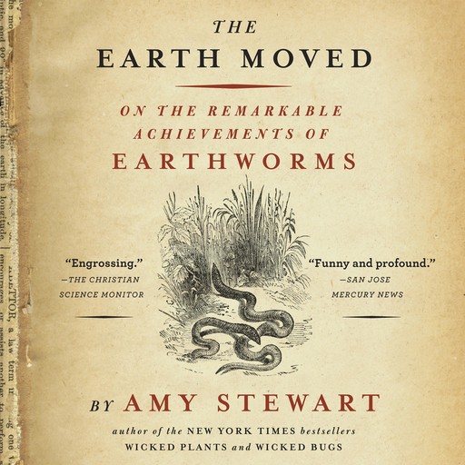 The Earth Moved, Amy Stewart