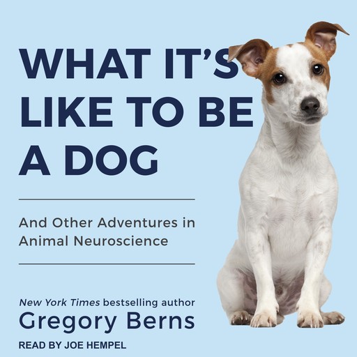 What It's Like to Be a Dog, Gregory Berns