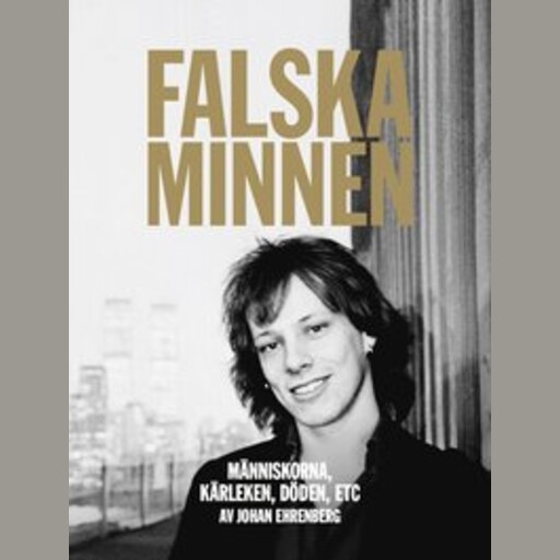 Falska minnen, Johan Ehrenberg