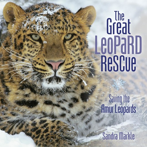 The Great Leopard Rescue, Sandra Markle