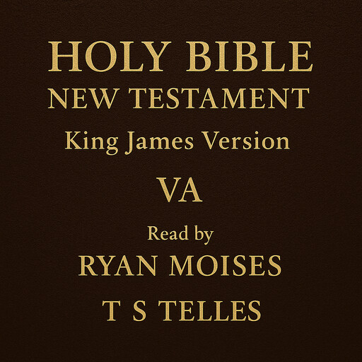 Holy Bible New Testament, VA