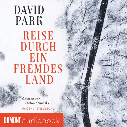 Reise durch ein fremdes Land, David Park