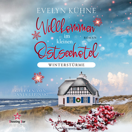 Winterstürme - Willkommen im kleinen Ostseehotel, Band 1 (ungekürzt), Evelyn Kühne