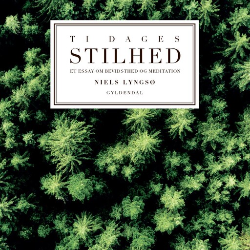 Ti dages stilhed, Niels Lyngsø
