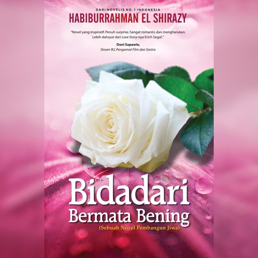 Bidadari Bermata Bening, Habiburrahman El-Shirazy