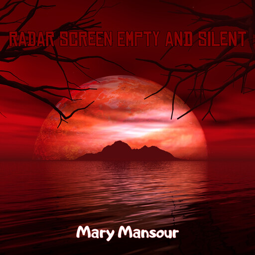 Radar Screen Empty and Silent, MARY MANSOUR