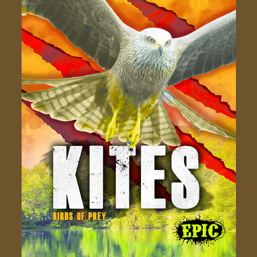 Kites, Nathan Sommer
