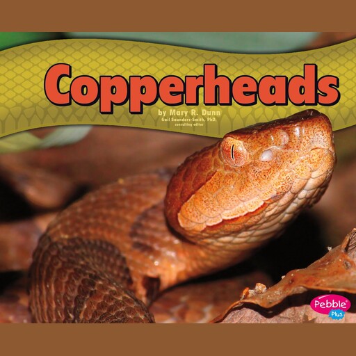 Copperheads, Mary Dunn