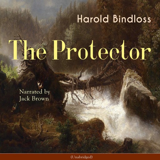 The Protector, Harold Bindloss