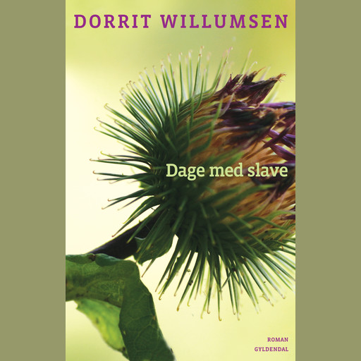 Dage med slave, Dorrit Willumsen