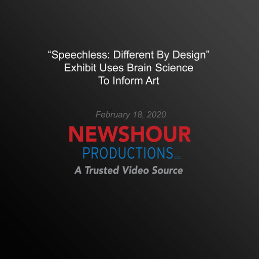 The "Speechless: Different By Design" Exhibit Uses Brain Science To Inform Art, PBS NewsHour