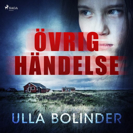Övrig händelse, Ulla Bolinder