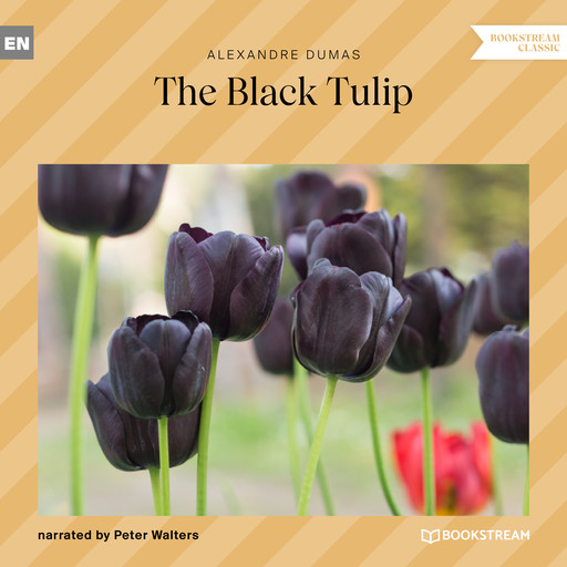 The Black Tulip (Unabridged), Alexander Dumas