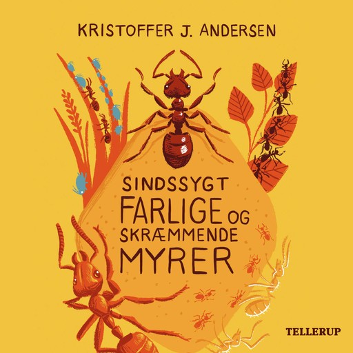 Sindssygt farlige og skræmmende myrer, Kristoffer J. Andersen