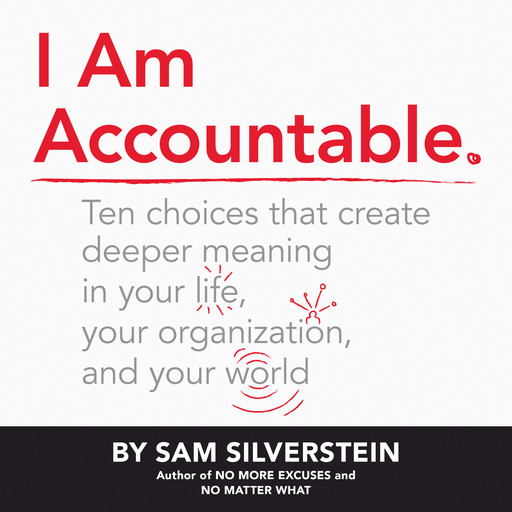 I Am Accountable, Sam Silverstein